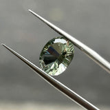 #PL6 天然プラシオライト 2.78ct