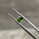#CD3 天然クロムダイオプサイト 0.48ct