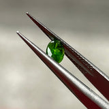 #CD22 天然クロムダイオプサイト 0.48ct