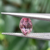 #LB-SPP3 ラボグロウンサファイア 1.84ct