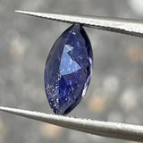 #ISS5 天然アイオライトサンストーン 1.46ct