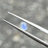 #LR-B26 天然アンデシンラブラドーライト 0.24ct