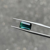 #BCT1 BICOLOR TOURMALINE|雙色碧璽 2.22ct