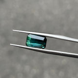 #BCT1 BICOLOR TOURMALINE|雙色碧璽 2.22ct