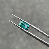 #BCT2 BICOLOR TOURMALINE|雙色碧璽 1.38ct