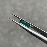 #BCT2 BICOLOR TOURMALINE|雙色碧璽 1.38ct