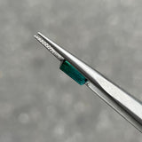 #BCT2 BICOLOR TOURMALINE|雙色碧璽 1.38ct