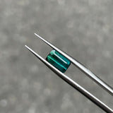 #BCT2 BICOLOR TOURMALINE|雙色碧璽 1.38ct