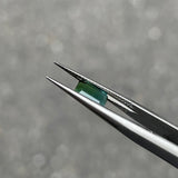#BCT3 BICOLOR TOURMALINE|雙色碧璽 0.94ct