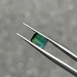 #BCT3 BICOLOR TOURMALINE|雙色碧璽 0.94ct