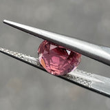 #PT1 天然ピンクトルマリン 1.70ct