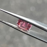#PT5 天然ピンクトルマリン 1.14ct