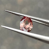 #CCG2 天然カラーチェンジガーネット 1.16ct