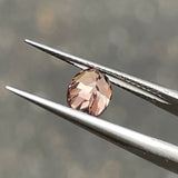 #CCG2 天然カラーチェンジガーネット 1.16ct