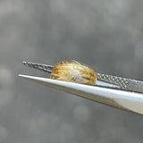 #OP28 天然蛋白石 1.38ct