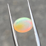 #OP62 天然オパール 1.60ct