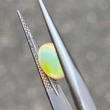 #OP62 天然オパール 1.60ct