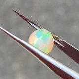 #OP62 天然オパール 1.60ct