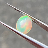 #OP62 天然オパール 1.60ct