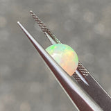 #OP59 天然オパール 1.62ct