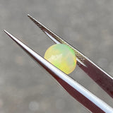 #OP68 天然オパール 1.56ct