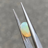 #OP70 天然オパール 1.70ct
