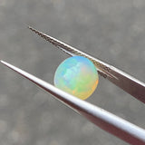#OP70 天然オパール 1.70ct