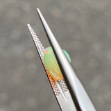 #OP75 天然オパール 1.60ct