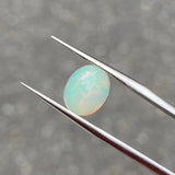 #OP80 天然オパール 1.56ct