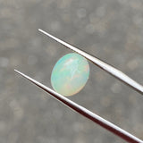 #OP80 天然オパール 1.56ct