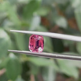 #PT4 天然ピンクトルマリン 1.58ct