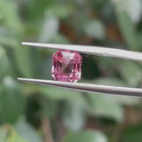 #PT8 天然ピンクトルマリン 1.42ct