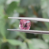#PT5 天然ピンクトルマリン 1.14ct