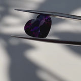 #AM19 天然紫水晶 4.00 克拉