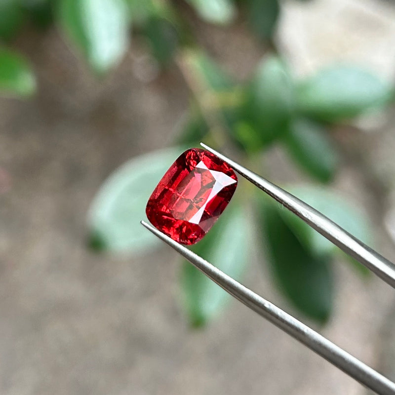 #RT1 RED TOURMALINE│紅碧璽 5.18ct