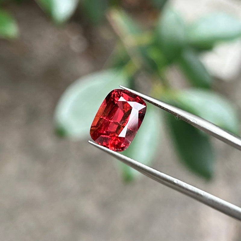 #RT1 RED TOURMALINE│紅碧璽 5.18ct