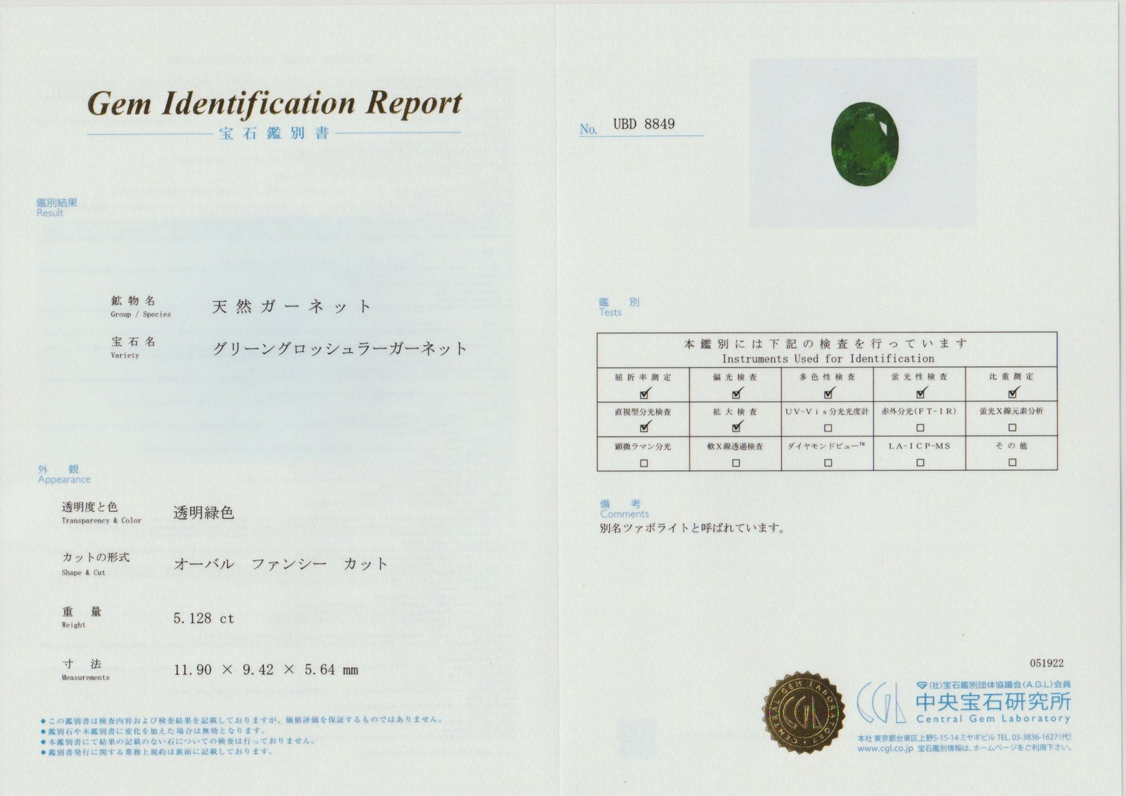 超特大 5.128ct 天然ツァボライトガーネット ルース – RYUHO ONLINE